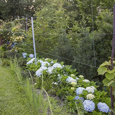 ヴィラ Roque Village By Geres Casas *