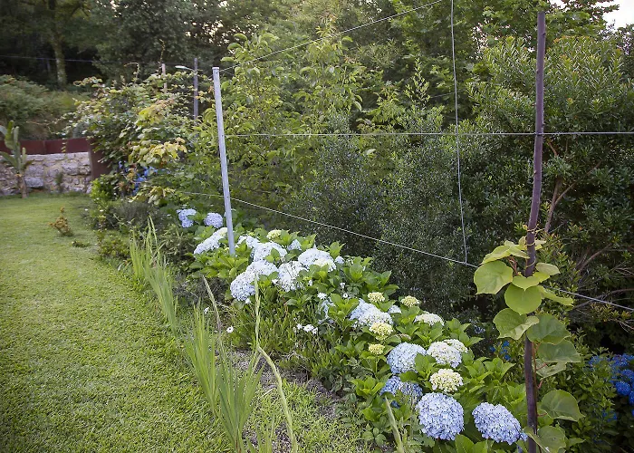 Villa Roque Village By Gerês Casas *